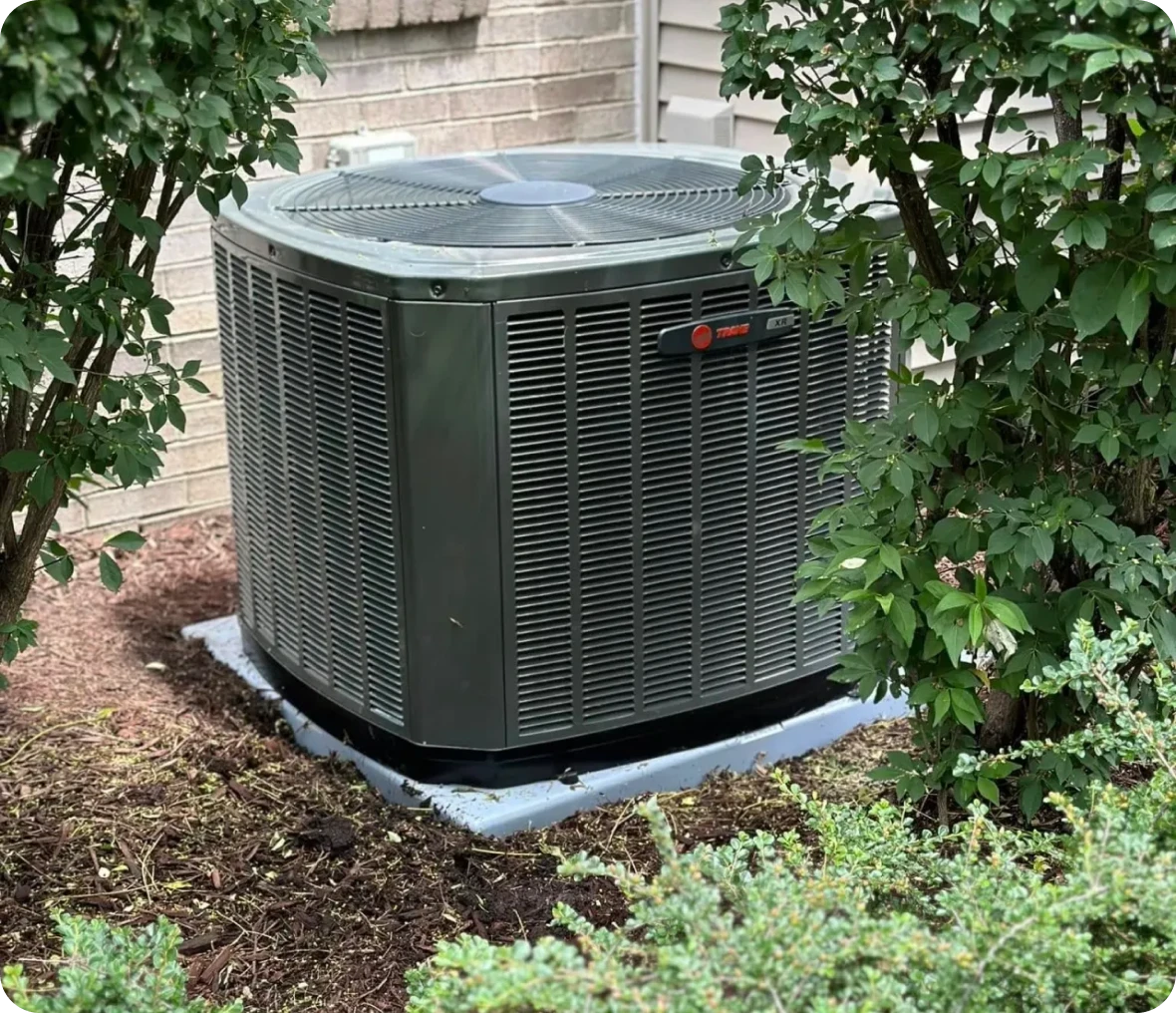 Air conditioning unit surrounded by greenery